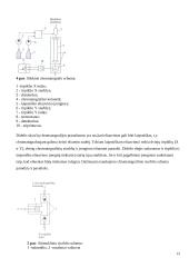 Skystinis chromatografas su masių spektrometru 12 puslapis