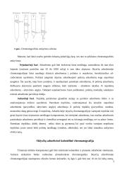 Skystinis chromatografas su masių spektrometru 5 puslapis