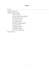 Audito ir apskaitos ryšys