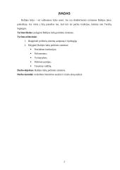 Baltijos šalių politinių sistemų palyginamoji analizė 2 puslapis