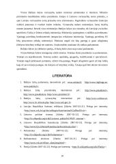 Baltijos šalių politinių sistemų palyginamoji analizė 18 puslapis