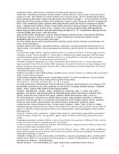 Slidinėjimo technika, mokymo etapai ir jų charakteristika 18 puslapis