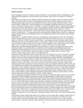 Slidinėjimo technika, mokymo etapai ir jų charakteristika 10 puslapis