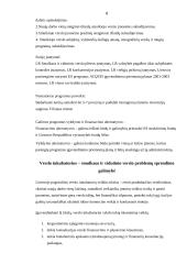 Smulkaus ir vidutinio verslo vaidmuo šiuolaikinėje ekonomikoje 8 puslapis
