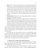 Banko komunikacijos priemonės ir įvaizdžio formavimas: AB "Vilniaus bankas" 19 puslapis