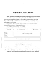 Bankų funkcijos ir bankininkystės raida 3 puslapis