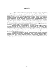 Socialinės saugos ir komercinės teisės sampratos 11 puslapis