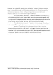 Socialinės saugos ir komercinės teisės sampratos 6 puslapis