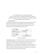 Bankų vaidmuo didinant pinigų pasiūlą 12 puslapis