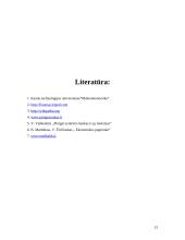 Bankų vaidmuo didinant pinigų pasiūlą 15 puslapis