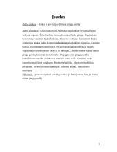 Bankų vaidmuo didinant pinigų pasiūlą 3 puslapis