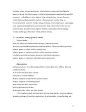 Bankų vaidmuo didinant pinigų pasiūlą 9 puslapis