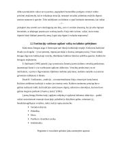 Socialiniai gebėjimai 10 puslapis