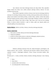 Socialiniai veiksniai, lemiantys sėkmingą moksleivių mokymą ir mokymąsi 2 puslapis