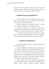 Spausdintuvai ir jų tipai 12 puslapis