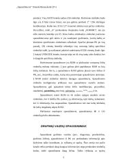 Spausdintuvai ir jų tipai 4 puslapis