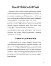 Spausdintuvų tipai 4 puslapis