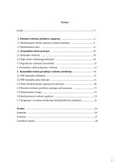 Bendruomenės sveikatos priežiūra: komandinis darbas 2 puslapis