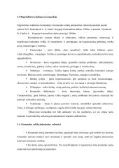 Bendruomenės sveikatos priežiūra: komandinis darbas 12 puslapis