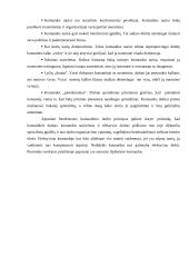 Bendruomenės sveikatos priežiūra: komandinis darbas 13 puslapis