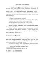 Bendruomenės sveikatos priežiūra: komandinis darbas 10 puslapis