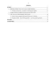 Specialioji kaimo rėmimo programa: prioritetai ir priemonės 2 puslapis