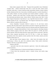 Specialioji kaimo rėmimo programa: prioritetai ir priemonės 10 puslapis