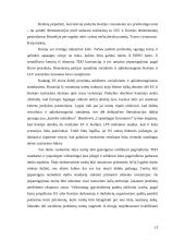 Besivystančių šalių tarptautinė ekonominė politika: Pietų Korėjos atvejis 13 puslapis
