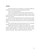 Besivystančių šalių tarptautinė ekonominė politika: Pietų Korėjos atvejis 20 puslapis