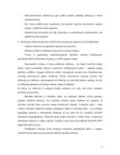 Besivystančių šalių tarptautinė ekonominė politika: Pietų Korėjos atvejis 5 puslapis