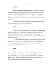 Stalo įrankiai ir serviravimas 11 puslapis