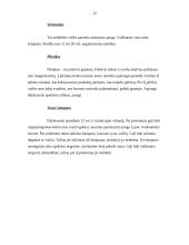 Stalo įrankiai ir serviravimas 12 puslapis