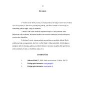 Stalo įrankiai ir serviravimas 13 puslapis