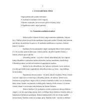 Stalo įrankiai ir serviravimas 3 puslapis