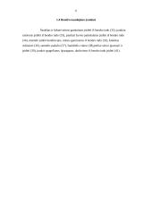 Stalo įrankiai ir serviravimas 6 puslapis