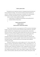 Statybos ypatumai Airijoje