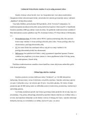 Statybos ypatumai Airijoje 5 puslapis