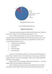 Statybos ypatumai Airijoje 6 puslapis