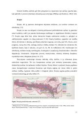 Bioindikatoriai: tipai, charakteristikos, taikymas 11 puslapis