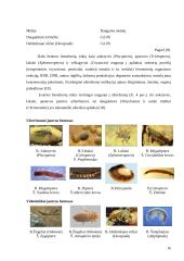 Bioindikatoriai: tipai, charakteristikos, taikymas 16 puslapis