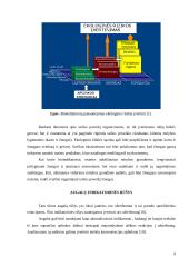 Bioindikatoriai: tipai, charakteristikos, taikymas 9 puslapis