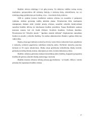 Biudžeto sistemos reforma 17 puslapis