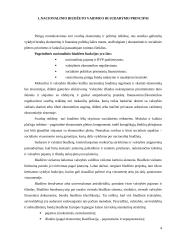 Biudžeto sistemos reforma 4 puslapis