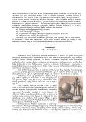 Stereometrijos mokslo istorija ir apibūdinimas 5 puslapis