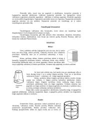 Stereometrijos mokslo istorija ir apibūdinimas 10 puslapis