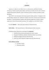 Buhalterinės apskaitos dokumentai 2 puslapis