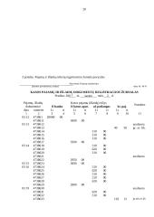 Buhalterinės apskaitos dokumentai 20 puslapis