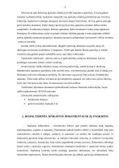 Buhalterinės apskaitos dokumentai 5 puslapis