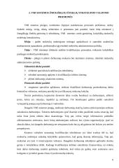 Strateginis žmogiškųjų išteklių projektų valdymas plėtojant Valstybinės mokesčių inspekcijos (VMI) sistemą 6 puslapis