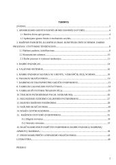 Buldozeris su pasukamu verstuvu 2 puslapis